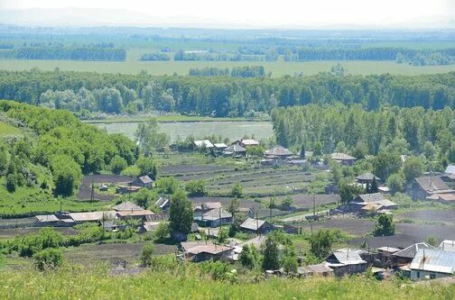 Сростки Бийский район. Село Сростки Родина Шукшина. Сростки Алтайский край численность населения. Село Сростки Алтайский край. Сростки погода бийского алтайского края