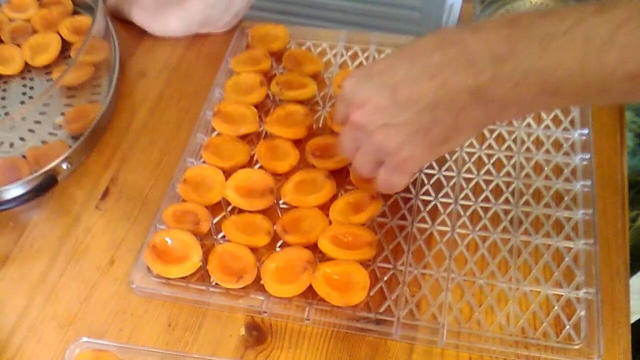 Абрикосы в сушилке для фруктов. Абрикосы в дегидраторе. Сушка абрикоса. Абрикосы сушеные в дегидраторе.
