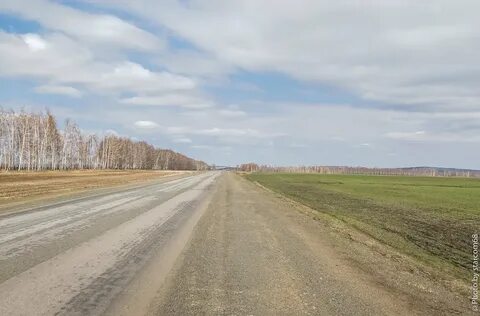 Год дорог 2019