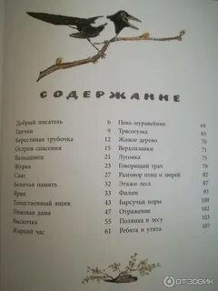 Пришвин рассказы сколько страниц