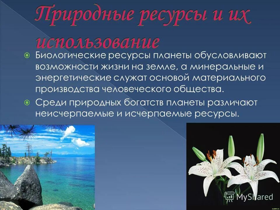 биологические ресурсы это в экологии. биологические ресурсы планеты. биологические ресурсы планеты. характеристика биологических ресурсов. биологические ресурсы таблица стран.