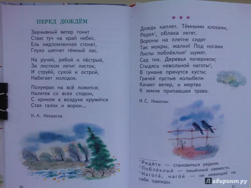 Ветер гонит стаю. Стихотворение перед дождем. Стихотворение Некрасова перед дождем. Передь дождемнекрасов. Н А Некрасов перед дождем стихотворение.