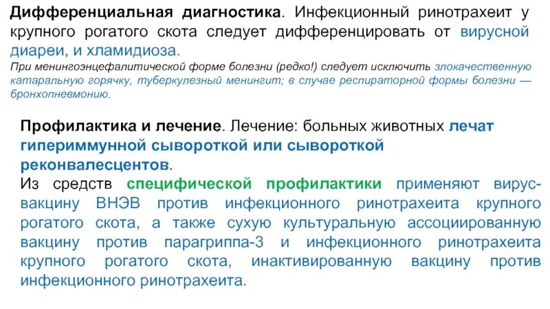 Инфекционный ринотрахеит крупного