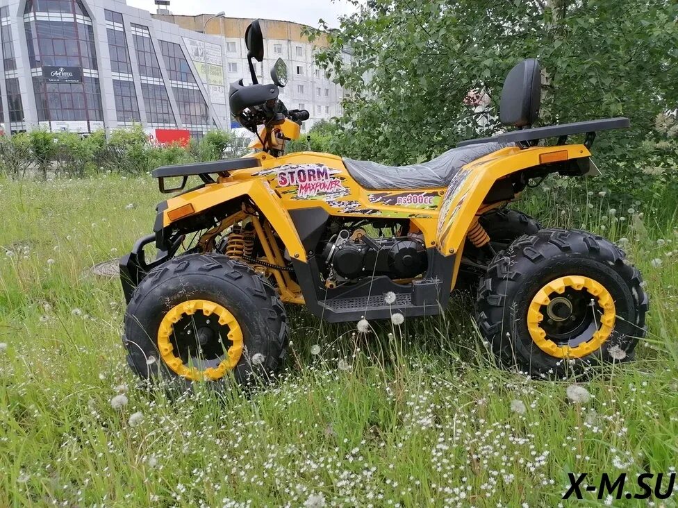 Promax Storm 300сс. Квадроцикл Промакс 300. Promax Storm 300сс Lux. Квадроцикл Promax Storm 300 Lux.