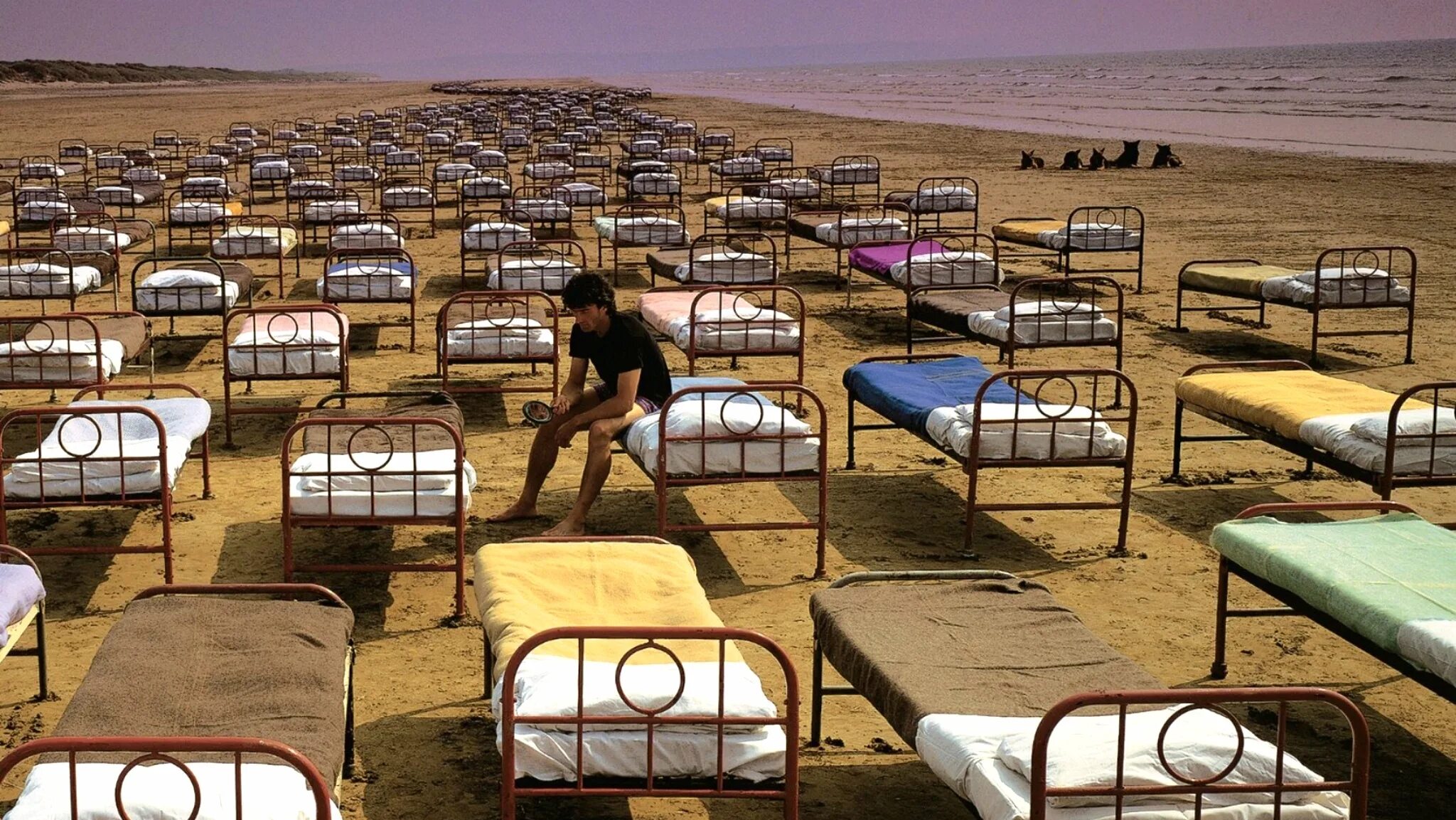 Momentary lapse of reasoning. Pink Floyd a Momentary lapse of reason. 1987 - A Momentary lapse of reason. Сторм Торгерсон a Momentary lapse of reason. Pink Floyd a Momentary lapse of reason (1987 год).