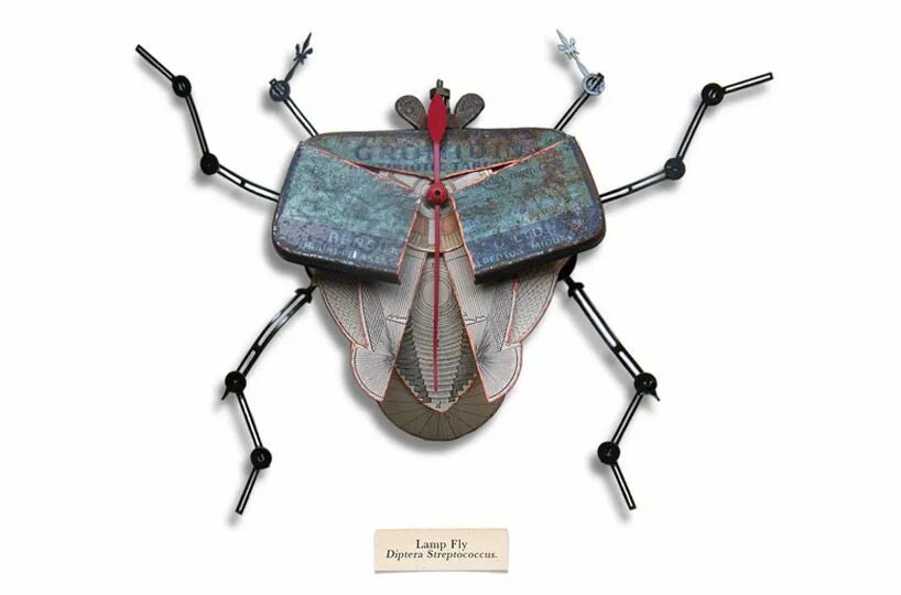 Bug project