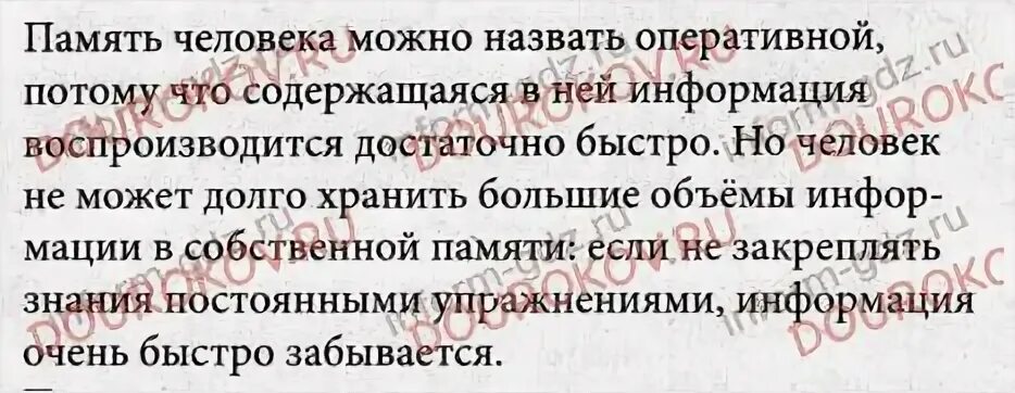 Как можно назвать собственную память человека. Как можно назвать собственную память человека