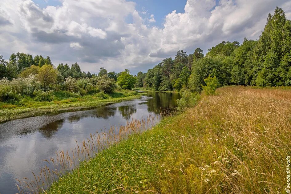 река луга реки ленинградской области. река луга в ленинградской области. кингисепп ленинградская область река. река луга название. посольский остров на реке луга.
