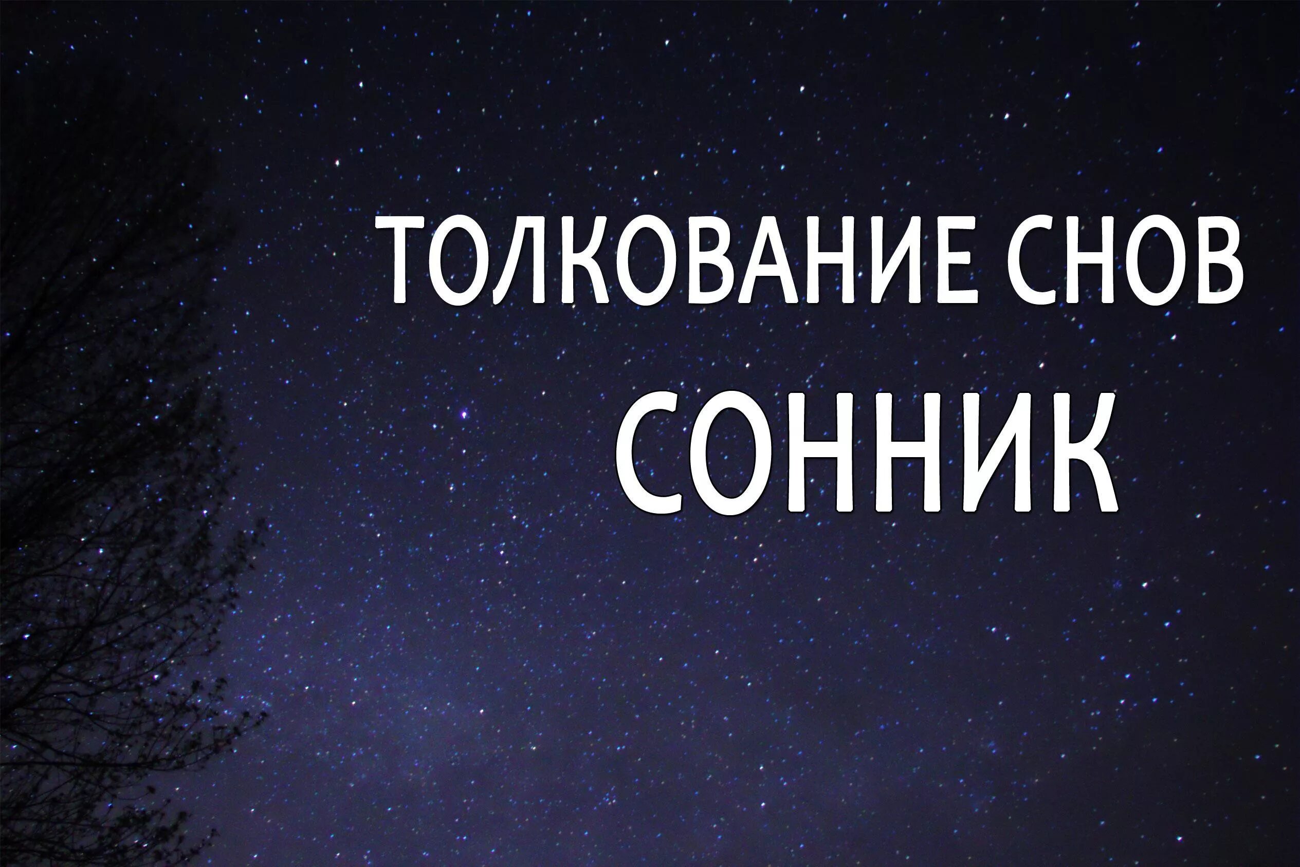 Толя приснился сон. Сонник. Сонник-толкование снов. Сонник толкователь снов. Сонник сны толкование снов.