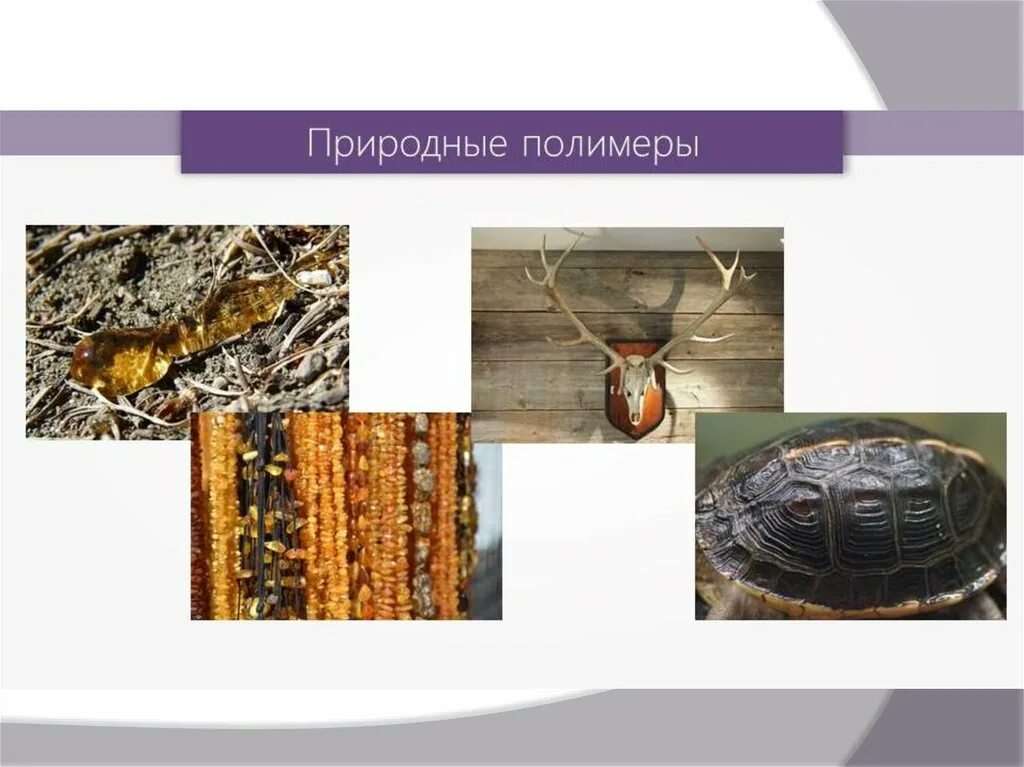 5 природным полимером является