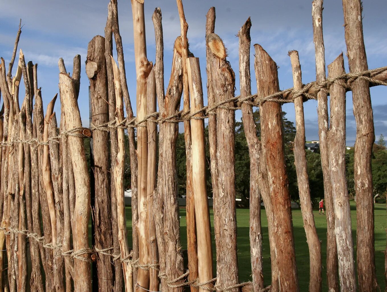 тын слушать. тын. забор из прутьев. забор из тына. плетеный забор из веток.