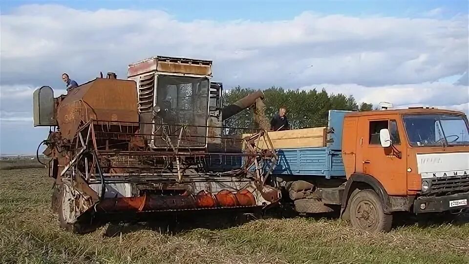 Комбайн скд 6. Комбайн скд-5 сибиряк. Зерноуборочный комбайн скд-5 сибиряк. Комбайн сибиряк скд-6. Комбайн скд 6.