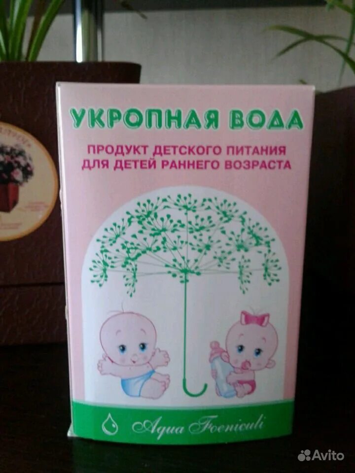 Укропная водичка от газиков. Укропная водичка от газиков