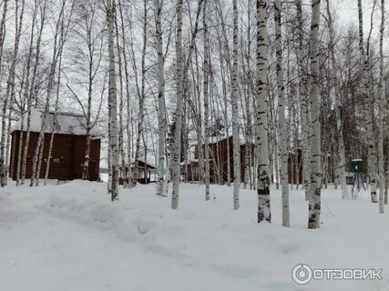 Парус сургут