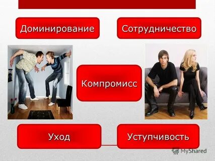 Социально доминирующие
