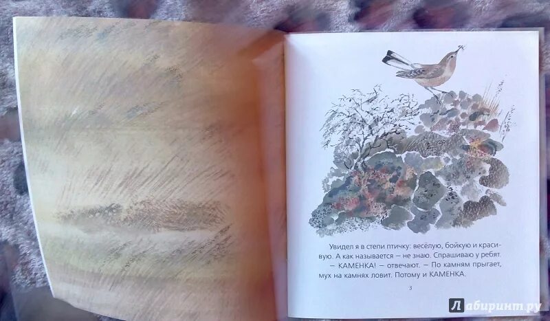 Одуванчик и дождь сладков читать. Сладков каменка плясунья читать. каменка-плясунья книга. книга каменка иллюстрации. каменка книга автор.