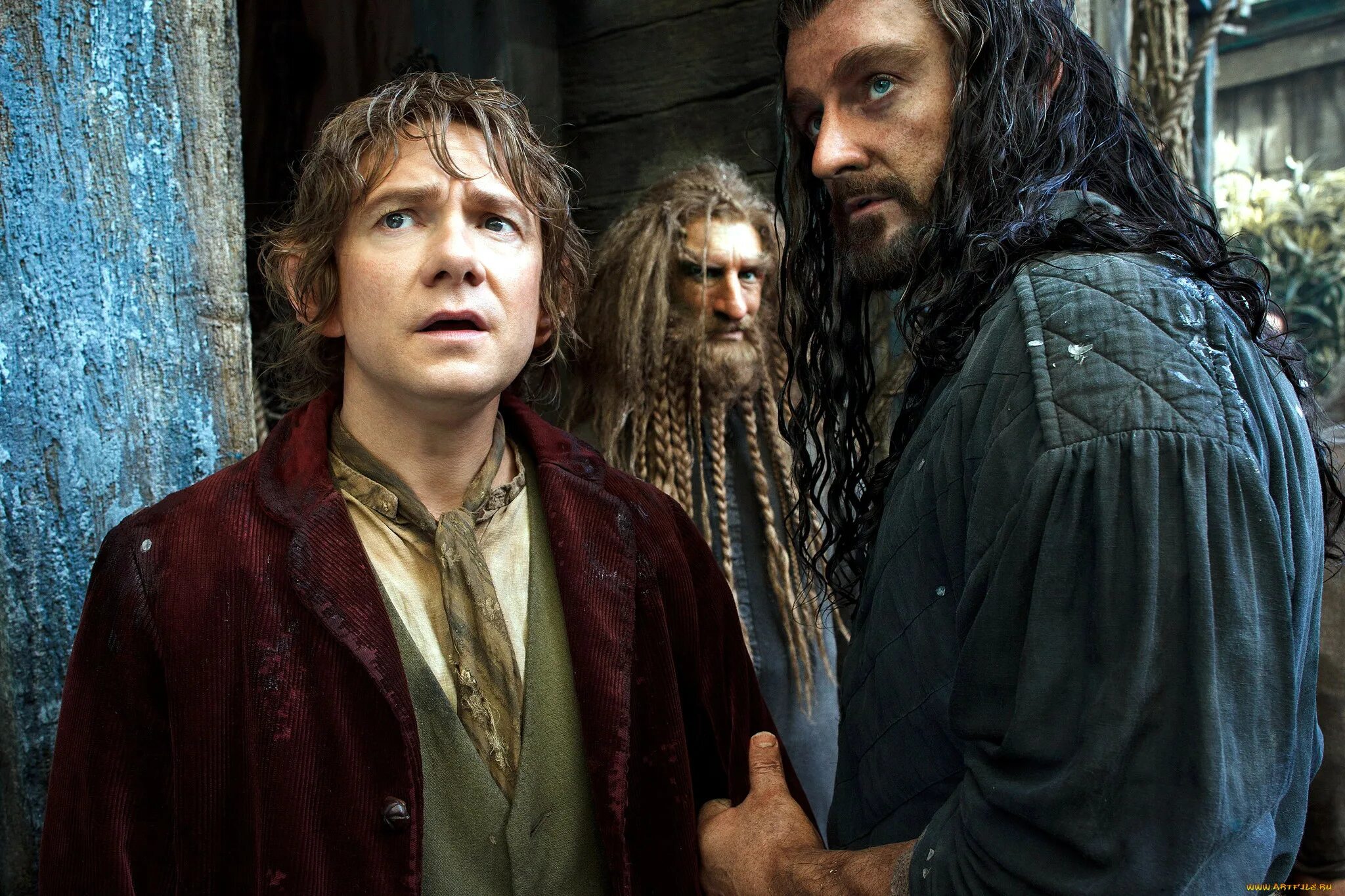 Хоббит hobbit. Хоббит пустошь смауга. бильбо бэггинс хоббит пустошь смауга.