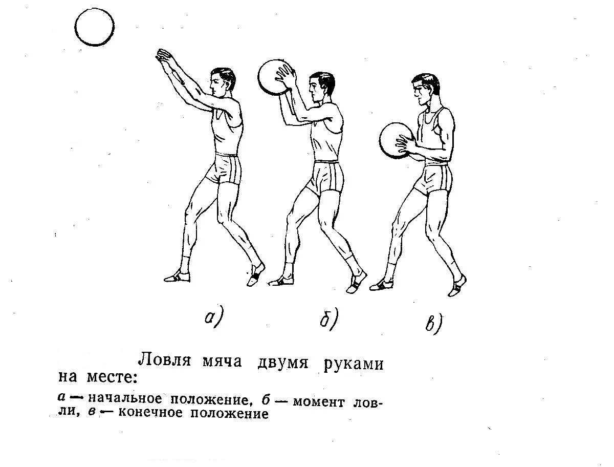 Ловля и передача мяча броски мяча. Фазы ловли мяча в баскетболе. Ловля мяча 2 руками баскетбольного.. Классификация техники ловли мяча. Ловля мяча в баскетболе схема.