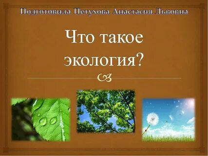 Страна экологии 3 класс