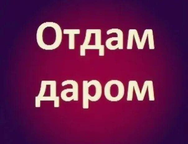 Объявления приму даром. Даром. Отдам. Даром обмен. Отдам даром фото.