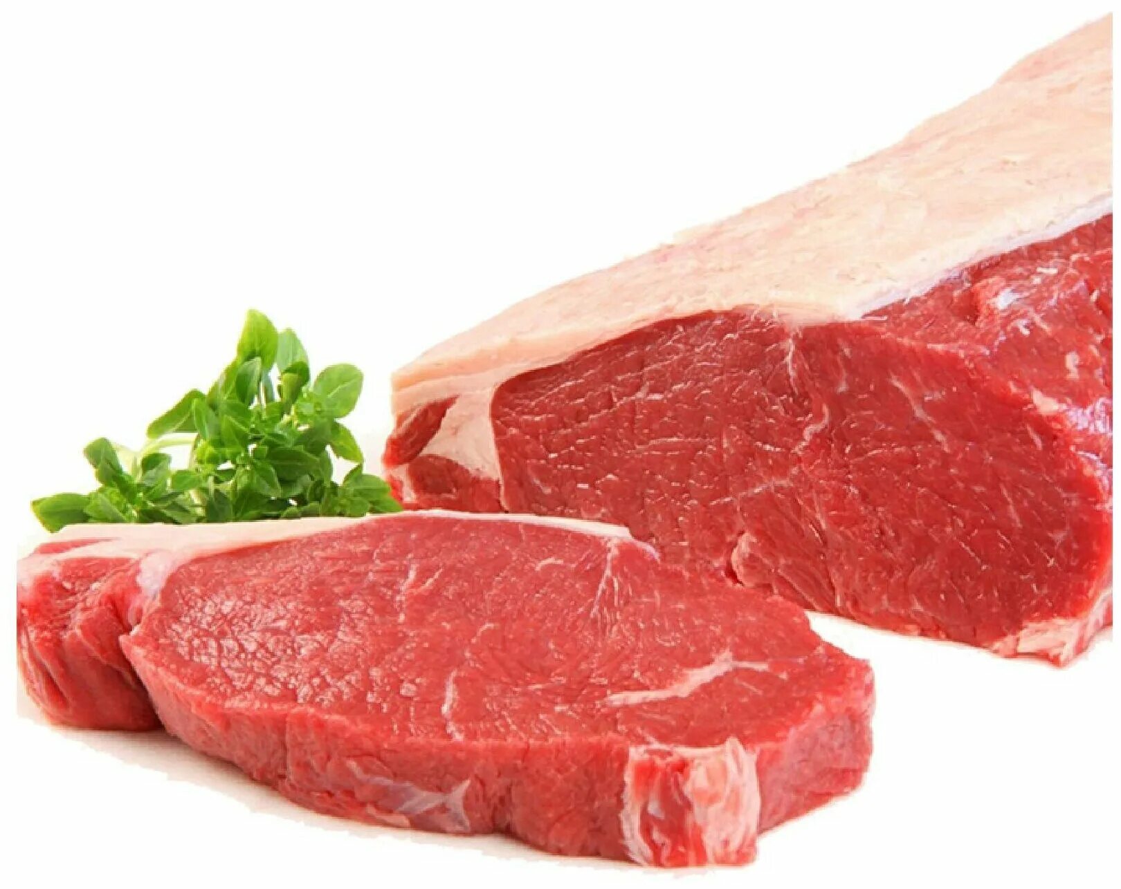 Филейная вырезка. Вырезка говяжья тендерлойн аргентина. Схема туши говядины рибай. Говядина рибай (толстый край). Вырезка говяжья схема туши.