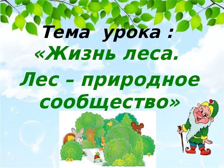 Рассказ жизнь леса. Сообщество леса 4 класс. Лес природное сообщество 4 класс презентация. Проект на тему жизнь леса. Жизнь леса презентация.