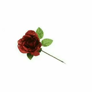Розы 37 отзывы