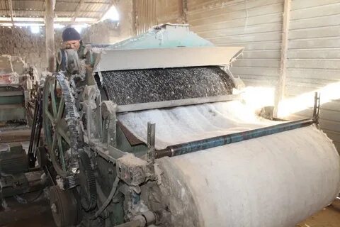 Ала мата