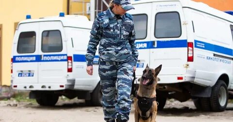 Полицейский кинолог