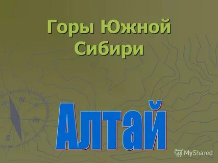 Среди гор юга сибири наиболее разнообразный