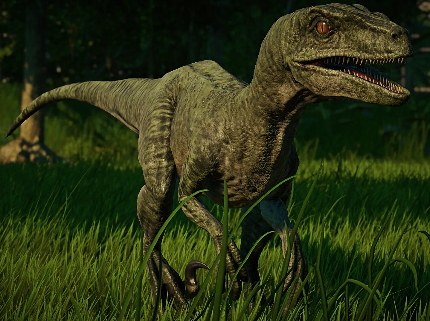 Велоцераптор мир юрского. Велоцераптор jurassic world evolution. Парк юрского периода велоцираптор. Мир юрского периода раптор. Велоцераптор мир юрского.