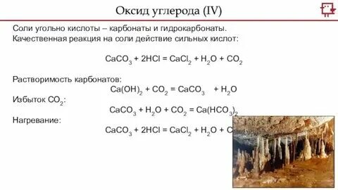 Оксид углерода 4 гидрокарбонат