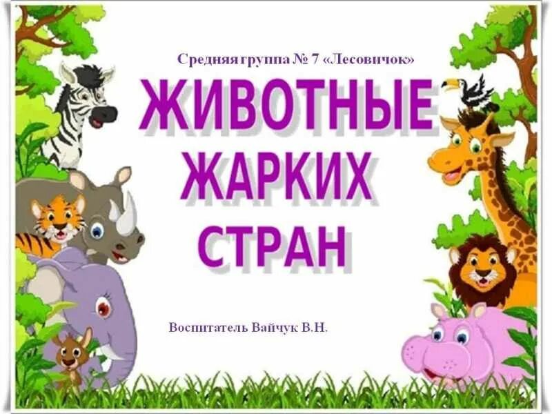 Планирование жаркие страны старшая группа. Тема недели животные жарких стран. тема недели животные жарких стран старшая группа. лексическая тема животные жарких стран. консультация на тему животные жарких стран.