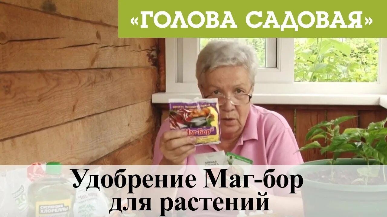 Тётя таня голова садовая обработка клубники весной. Голова садовая с тетей таней. Голова садовая осень подкормка. Голова садовая. Голова садовая подкормки.