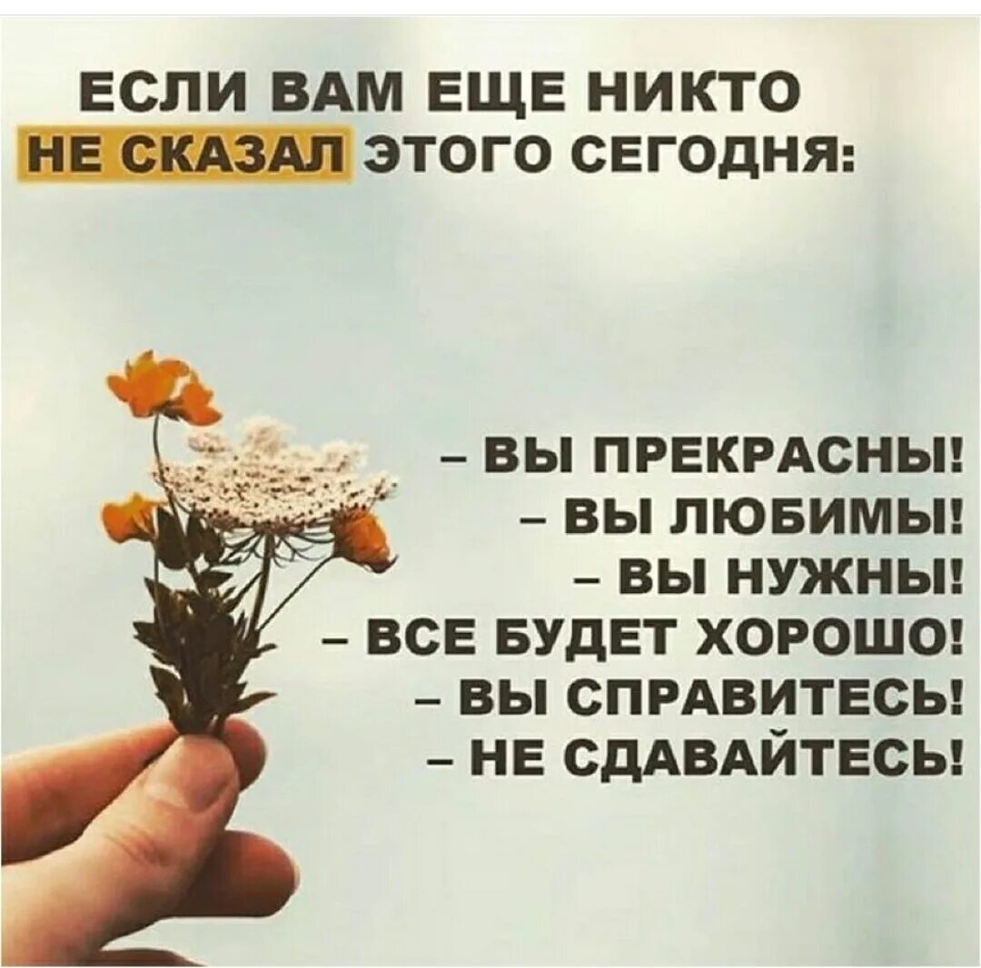 Когда говорить доброе утро. Позитивные высказывания. Цитаты на каждый день. Цитата дня. Позитивные цитаты на каждый день.