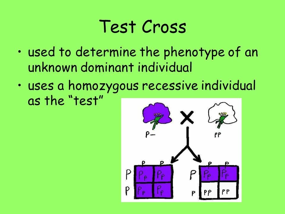 Cross тест. Кросс тест. test crossing. kreuz muster кросс тест. тест на cross talk.