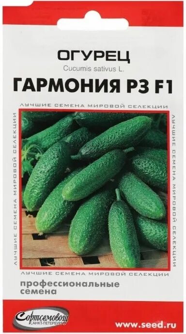 Огурец гармония фото - DelaDom.ru