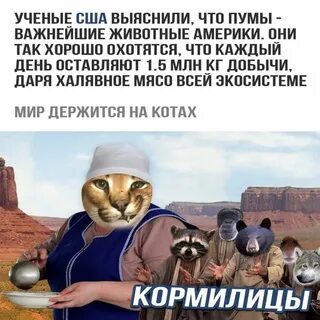 Спасу мир 4 категория