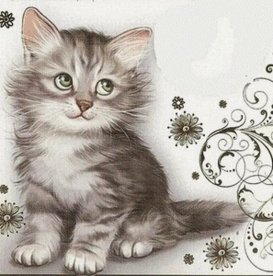 Котик рисунок. Котенок рисунок. Нарисовать котенка. Рисовать котят. Красивые рисунки котят.