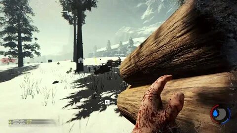 The forest патроны