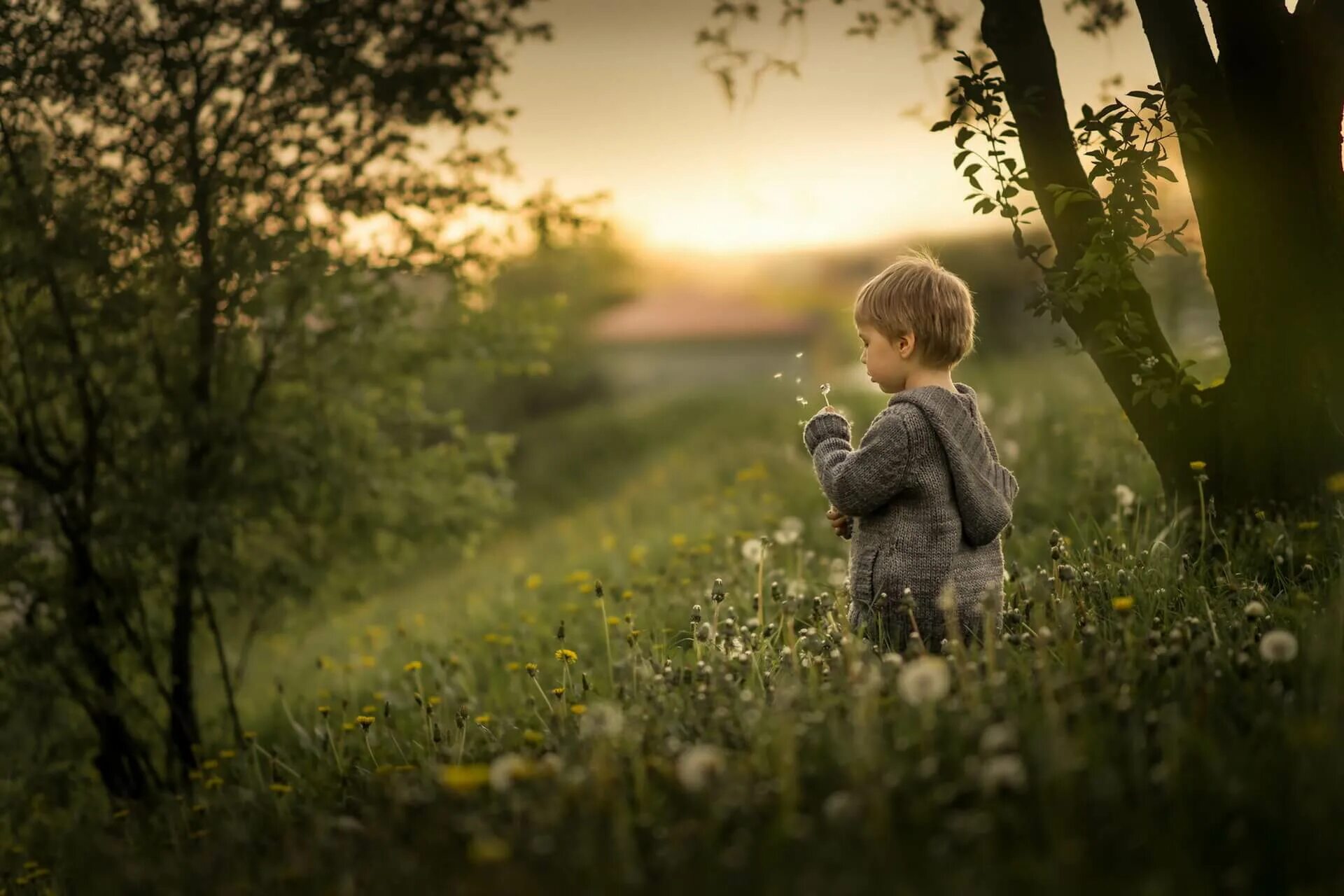 Child nature. Дети и природа. Мальчик на природе. Маленькие дети на природе. Прекрасное детство.