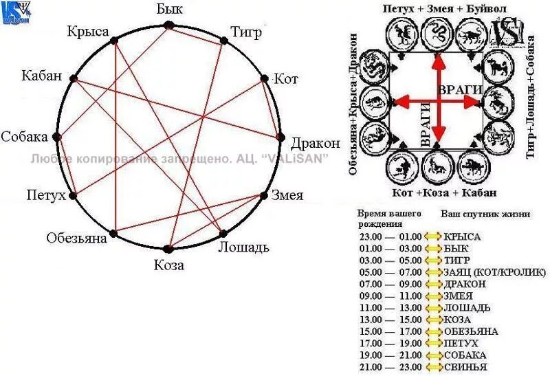 Китайский гороскоп совместимости. Сочетание восточного и зодиакального гороскопов. Векторный брак по знакам. Векторные отношения по годам.