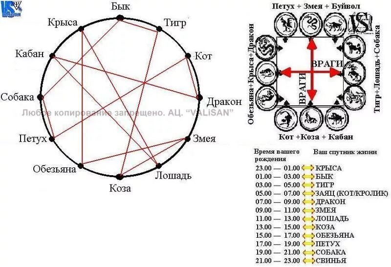 Лошадь собака совместимость мужчина. Китайский гороскоп совместимости. Сочетание восточного и зодиакального гороскопов. Векторный брак по знакам. Векторные отношения по годам.