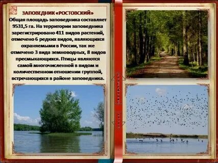 Природные богатства ростовской