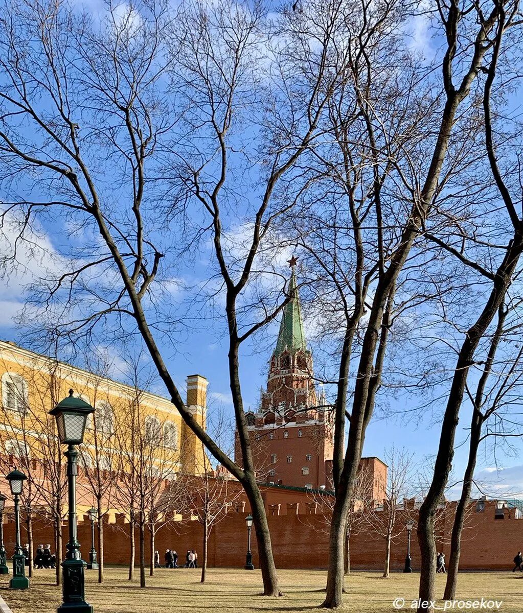 Погулять в москве весной. Александровский сад Москва. Александровский парк Москва. Александровский сад Москва березы.