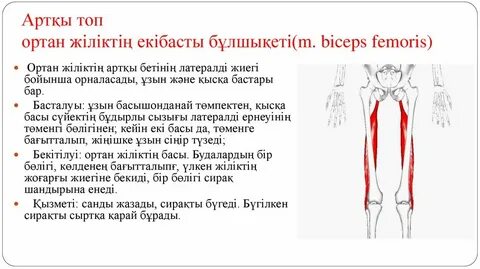 Рязань порно онлайн