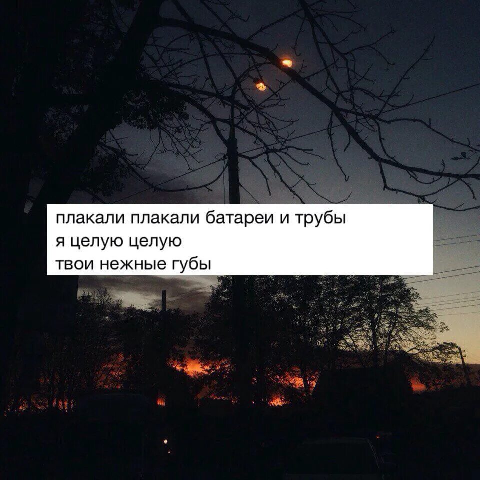 Целую целую твои нежные губы песня