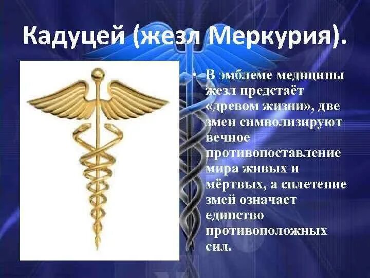 Жезл Гермеса Кадуцей. Посох Гермеса Кадуцей. Медицинский символ жезл Гермеса (жезл Кадуцей) изображается:. Меркурий Кадуцей.