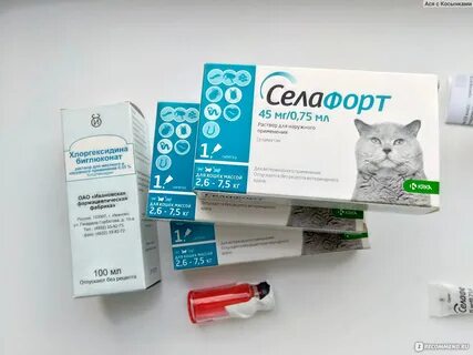 Селафорт для котят отзывы
